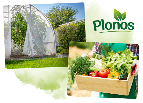 Tunel foliowy i plony ogrodowe