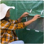 Folia na tunel Plonos 2,5x4 m (10 m²), zielona - podwójne drzwi