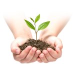 Agrowłóknina Plonos 1,6x100 m + 100 szpilek, czarna