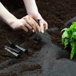 Agrowłóknina Plonos 1x50 m + 50 szpilek, czarna