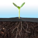 Agrowłóknina Plonos 1x50 m + 50 szpilek, czarna