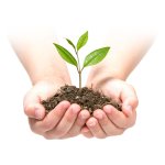 Agrowłóknina Plonos 1x50 m + 50 szpilek, czarna