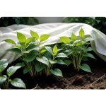 Agrowłóknina Plonos 1,6x20 m, biała