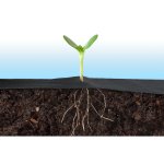 Agrowłóknina Plonos 1,6x50 m + 100 szpilek, czarna