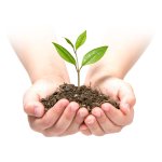 Agrowłóknina Plonos 1,6x50 m + 100 szpilek, czarno-zielona