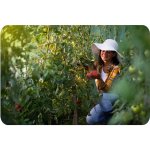 Tunel foliowy Plonos 3x6 m (18 m²), zielony - zestaw z akcesoriami