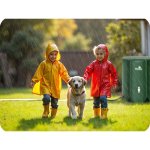 Zbiornik na deszczówkę Plonos 500 l, zielony