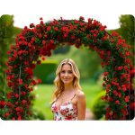 Pergola ogrodowa Plonos 240x140 cm, czarna