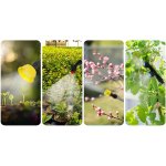 Opryskiwacz akumulatorowy Plonos PL-604, 16 l, turkusowy