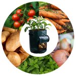 Worek do uprawy warzyw Plonos 46x35 cm, zielony