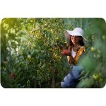 Tunel foliowy Plonos 2x3,5 m (7 m²), zielony - zestaw ze sznurkiem 100 m