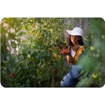 Tunel foliowy Plonos 2x3 m (6 m²), różowy - zestaw ze sznurkiem 100 m