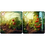 Tunel foliowy Plonos 2,5x4 m (10 m²), biały - zestaw z akcesoriami