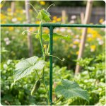 Złączki do tyczek Plonos 11x70 mm, typ-3, 4 szt., zielone