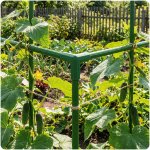 Złączki do tyczek Plonos 11x40 mm, typ-3, 4 szt., zielone