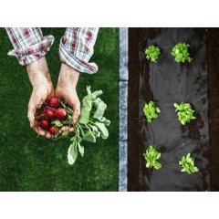 Czy agrowłóknina i agrotkanina przepuszczają wodę?